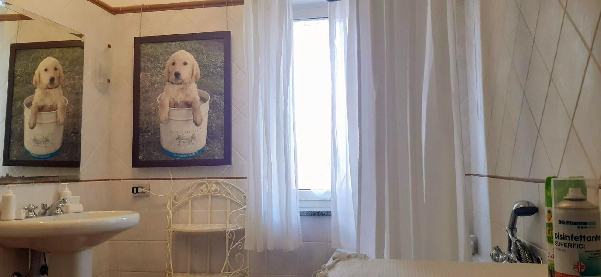 Fabiola B & B Marino Luaran gambar