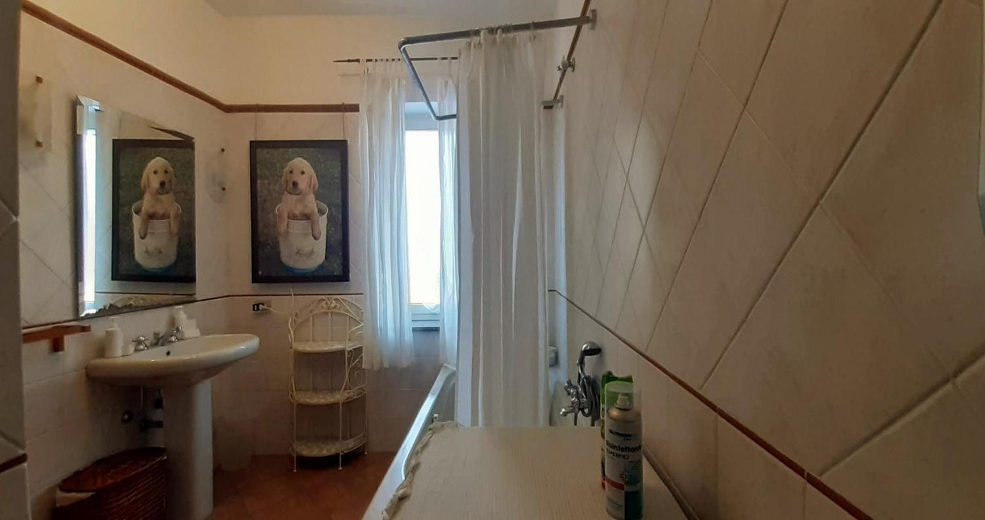 Fabiola B & B Marino Luaran gambar